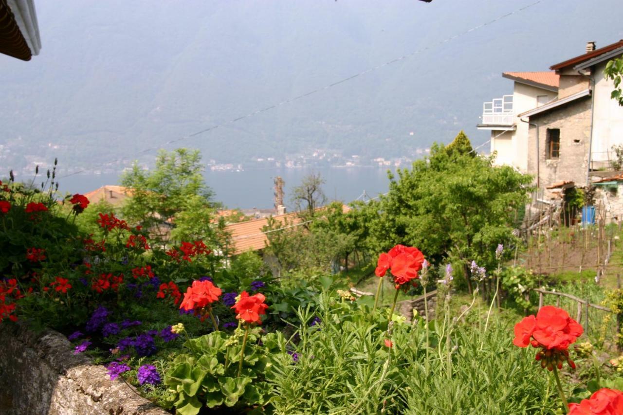 Il Mulino Di Hotel Villa Aurora Nesso Luaran gambar