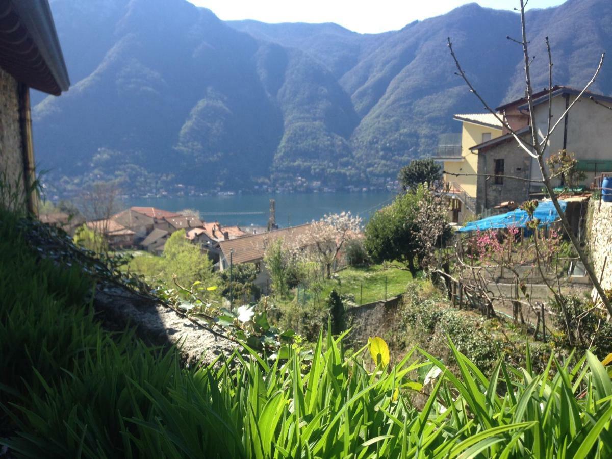 Il Mulino Di Hotel Villa Aurora Nesso Luaran gambar